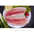 fresh black tilapia of WGS/whole round/tilapia fillet